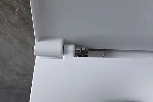 Унитаз подвесной безободковый Allen Brau Reality белый 4.32006.20