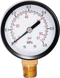 Манометр радиальный Belamos 50мм 6 бар ¼&quot; PGS50 RAD, 1