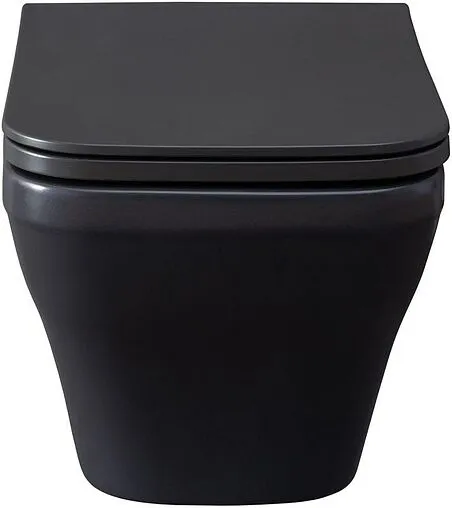 Унитаз подвесной безободковый Allen Brau Infinity антрацит 4.21011.AN