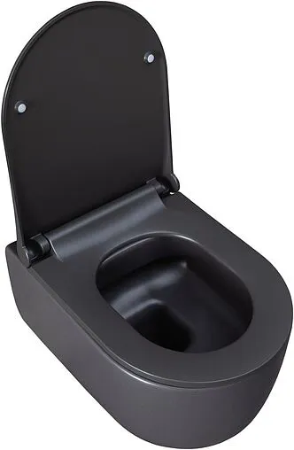 Унитаз подвесной безободковый Allen Brau Priority антрацит 4.31002.AN