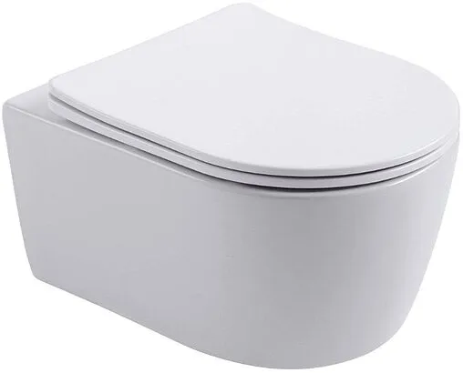 Унитаз подвесной безободковый Aquatek Европа New белый AQ1106L-00