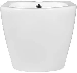 Биде подвесное Aquatek Европа белый матовый AQ1016-MW, 3