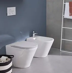 Биде напольное Jacob Delafon Rodin+ белый EBJ0002-00 Биде напольное Jacob Delafon Rodin+ белый EBJ0002-00, 4