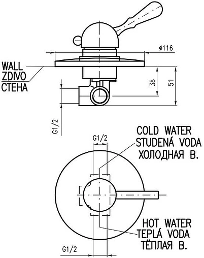 Смеситель для душа скрытого монтажа Rav Slezak Labe бронза L083LSM