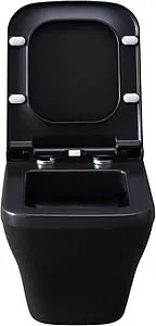 Унитаз подвесной безободковый Allen Brau Infinity черный матовый 4.21011.31 Унитаз подвесной безободковый Allen Brau Infinity черный матовый 4.21011.31, 5
