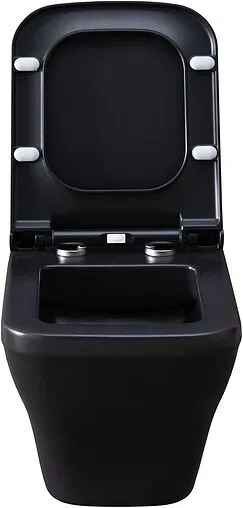 Унитаз подвесной безободковый Allen Brau Infinity черный матовый 4.21011.31