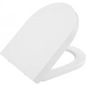 Крышка-сиденье для унитаза с микролифтом BelBagno  белый BB2009SC, 1