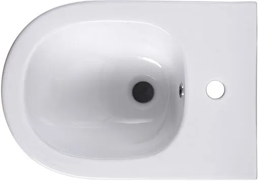Биде подвесное Aquatek Европа белый AQ1016-00