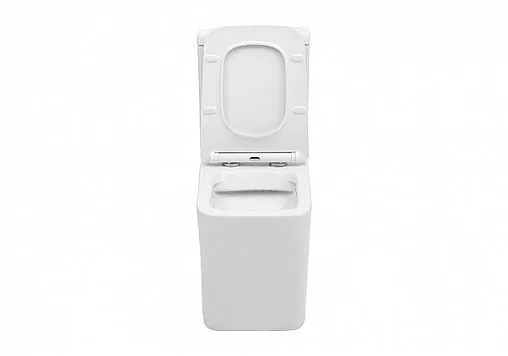 Чаша унитаза Aquanet Tavr-C1 Rimless белый TAVR-C1 Чаша унитаза Aquanet Tavr-C1 Rimless белый TAVR-C1