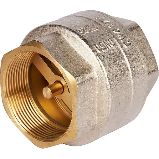 Клапан обратный пружинный 2&quot;в x 2&quot;в Rommer RVC-0001-000050