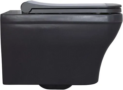 Унитаз подвесной безободковый Allen Brau Infinity антрацит 4.21011.AN