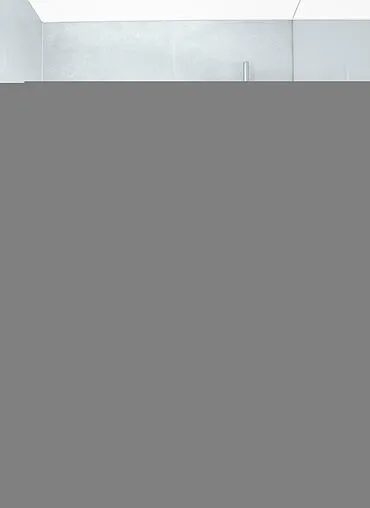 Шланг для душа Grohe Silverflex 125см хром 28362000