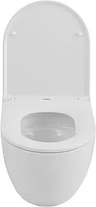 Унитаз подвесной безободковый Allen Brau Priority Tornado белый 4.31009.20, 3