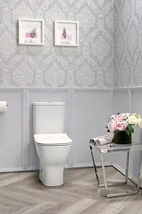 Унитаз-компакт безободковый Jacob Delafon Struktura Rimless белый UJAJ102-WTE+ETAG212-WTE Унитаз-компакт безободковый Jacob Delafon Struktura Rimless белый UJAJ102-WTE+ETAG212-WTE, 4