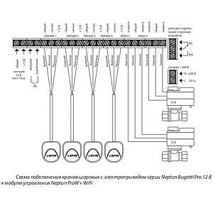 Модуль управления Neptun ProW+ WiFi 2163782, 4