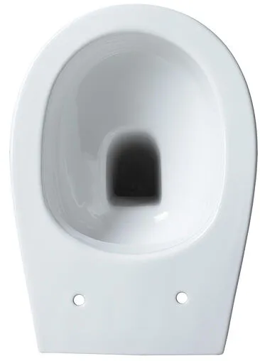 Унитаз приставной безободковый Allen Brau Fantasy белый 4.11007.20