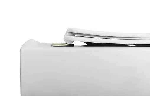 Унитаз приставной безободковый Cezares Giubileo белый CZR-265-CBR