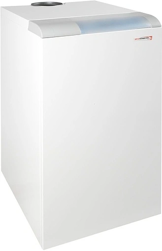 Напольный газовый котел одноконтурный 50кВт Protherm Медведь 50 TLO 50TLOR15