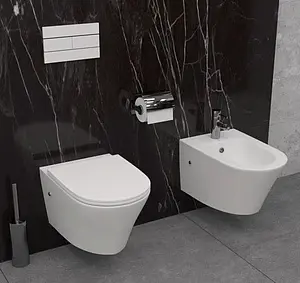 Биде подвесное Jacob Delafon Rodin+ белый EMJ0002-00 Биде подвесное Jacob Delafon Rodin+ белый EMJ0002-00, 5