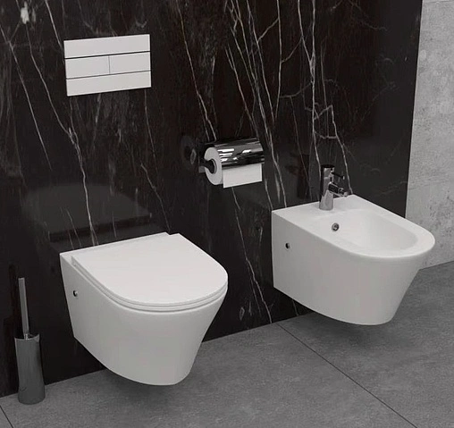 Биде подвесное Jacob Delafon Rodin+ белый EMJ0002-00