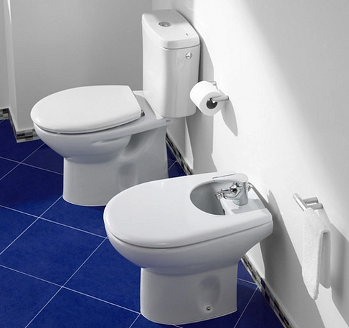 Крышка-сиденье для унитаза с микролифтом Roca Victoria белый 801392004