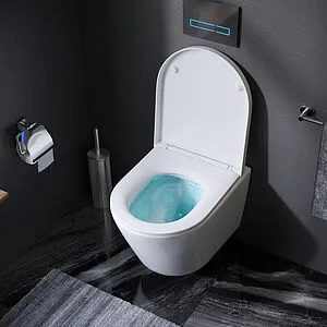 Унитаз подвесной безободковый Am.Pm Sense FlashClean белый C741701SC Унитаз подвесной безободковый Am.Pm Sense FlashClean белый C741701SC, 4