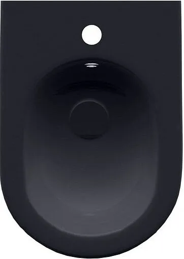 Биде напольное Allen Brau Reality антрацит 4.32005.AN