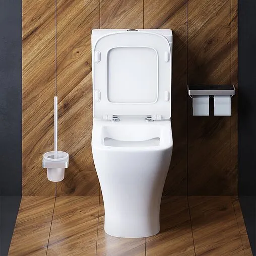 Унитаз-компакт безободковый Damixa Titan белый DX78C8600SC Унитаз-компакт безободковый Damixa Titan белый DX78C8600SC