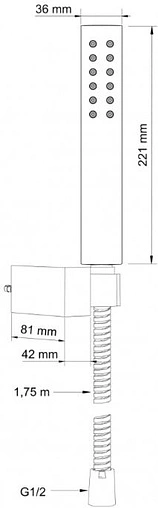Душевой набор Swedbe Calypso хром 5097