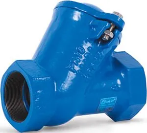 Клапан обратный шаровый 2"в x 2"в Ру16 Water Technics CVB WT SKL100901050 Клапан обратный шаровый 2"в x 2"в Ру16 Water Technics CVB WT SKL100901050, 1