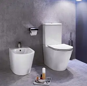 Биде напольное Jacob Delafon Rodin+ белый EBJ0002-00 Биде напольное Jacob Delafon Rodin+ белый EBJ0002-00, 3