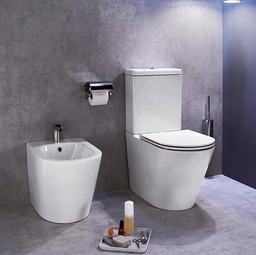 Биде напольное Jacob Delafon Rodin+ белый EBJ0002-00