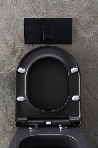 Унитаз подвесной безободковый Allen Brau Priority антрацит 4.31002.AN