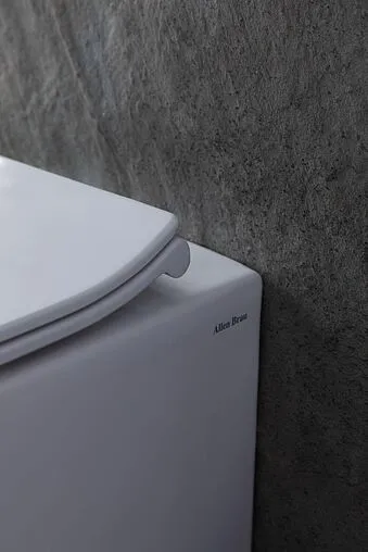 Унитаз приставной безободковый Allen Brau Fantasy белый 4.11007.20