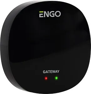 Универсальный интернет шлюз Zigbee ENGO GATE EGATEZB, 2