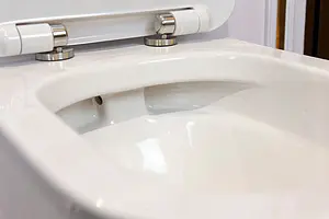 Унитаз подвесной безободковый BelBagno Prado белый BB10150CH, 4