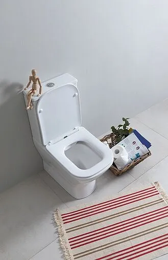 Унитаз-компакт безободковый Aquanet Fine-C Rimless белый FINE-C+FINE-C-1 Унитаз-компакт безободковый Aquanet Fine-C Rimless белый FINE-C+FINE-C-1