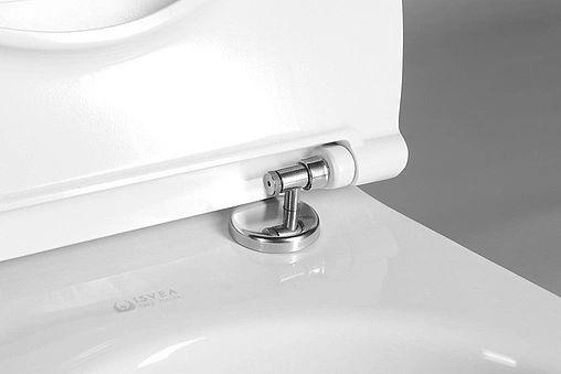 Крышка-сиденье для унитаза с микролифтом ISVEA D40 белый матовый 40D40201I-S