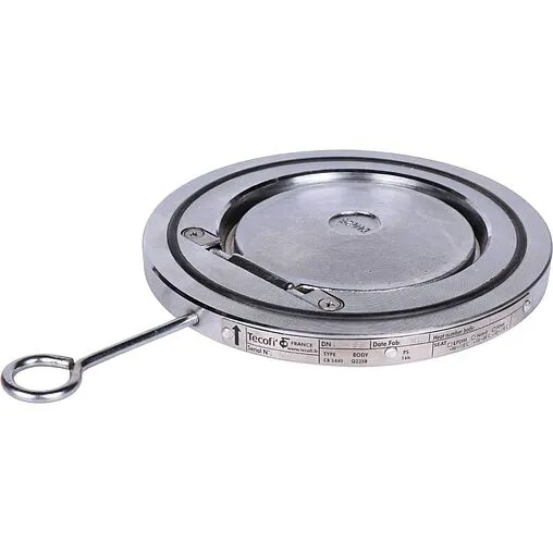 Клапан обратный поворотный одностворчатый межфланцевый Ду125 Ру16 Tecofi CB5440-0125