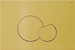 Клавиша смыва для унитаза CTESI Thea BK0202164/1 золото брашированное Клавиша смыва для унитаза CTESI Thea BK0202164/1 золото брашированное, 1