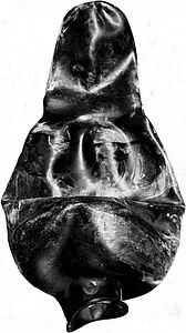 Мембрана для гидроаккумулятора OLDRATI 300LT-159 AR проходная 999ME700 Мембрана для гидроаккумулятора OLDRATI 300LT-159 AR проходная 999ME700, 2