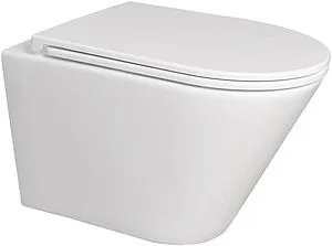 Унитаз подвесной безободковый Terminus Классик Tornado белый 02W54x36W Унитаз подвесной безободковый Terminus Классик Tornado белый 02W54x36W, 1