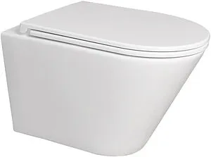Унитаз подвесной безободковый Terminus Классик Tornado белый 02W54x36W Унитаз подвесной безободковый Terminus Классик Tornado белый 02W54x36W, 1