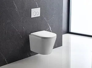 Унитаз подвесной безободковый Terminus Классик Tornado белый 02W54x36W Унитаз подвесной безободковый Terminus Классик Tornado белый 02W54x36W, 5