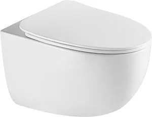 Унитаз подвесной безободковый Terminus Енисей Monolit Tornado белый 05W56х39W Унитаз подвесной безободковый Terminus Енисей Monolit Tornado белый 05W56х39W, 1